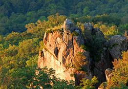 金龙山