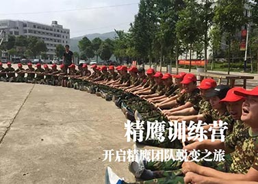 精鹰拓展训练营